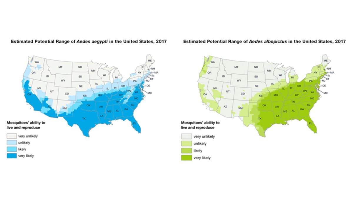 Two maps of the United States showing potential range of Aedes aegypti and Aedes albopictus in 2017. The maps use colors to indicate the ability for the mosquitoes to live and reproduce.