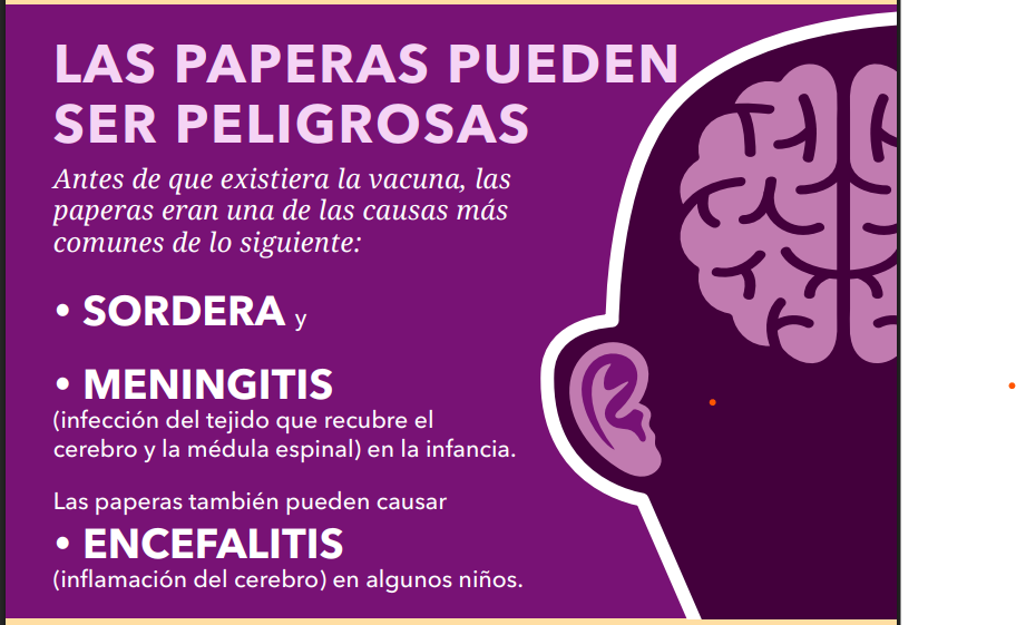 Outline of one part of the brain and an ear.