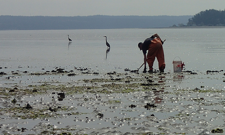 OLYMPUS DIGITAL CAMERA A person cleaning a shore