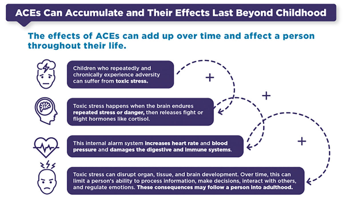 phapproach01 ACEs can accumulate and last beyond childhood. Children who repeatedly experience adversity can suffer from toxic stress. When toxic stress occurs, the brain releases fight or flight hormones like cortisol. This increases heart rate and blood pressure and damages the digestive and immune systems. Toxic stress can disrupt organ, tissue, and brain development. This can limit a person’s ability to process information, make decisions, interact with others, and regulate emotion. These consequences may follow a person into adulthood.