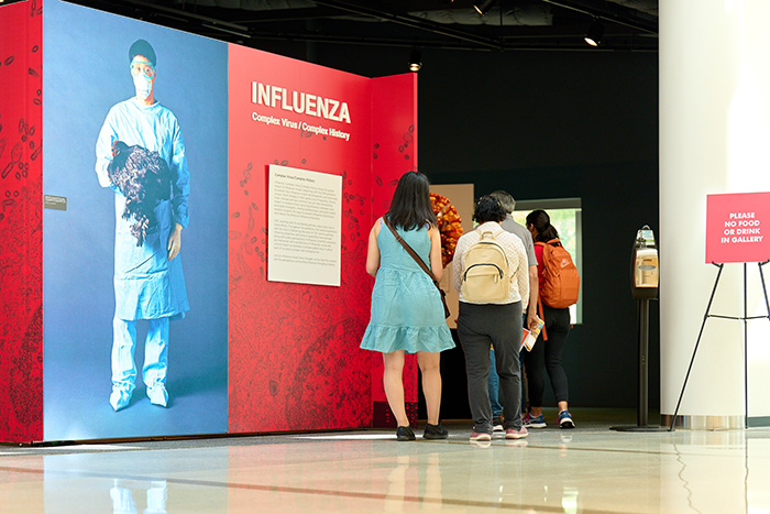 people walking in front of influenza exhibit people walking in front of influenza exhibit
