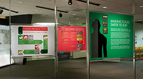 making-food-safer-to-eat-285x158px Making Food Safer to Eat