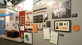 EIS and the Polio Eradication Campaign Polio