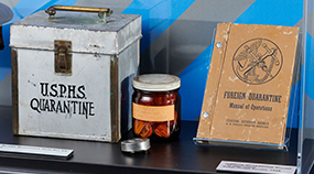 Roots of Public Health Roots of Public Health