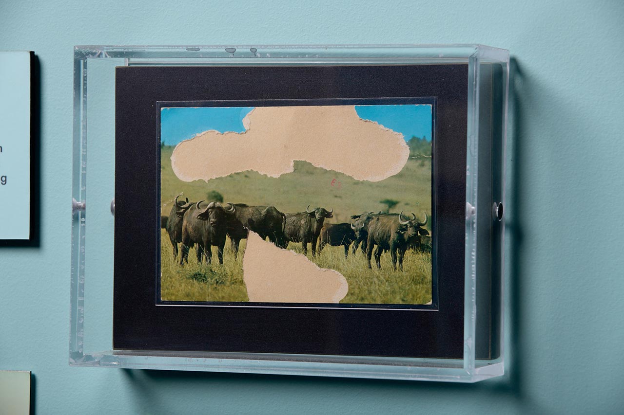 smallpox-postcard-1280px smallpox postcard