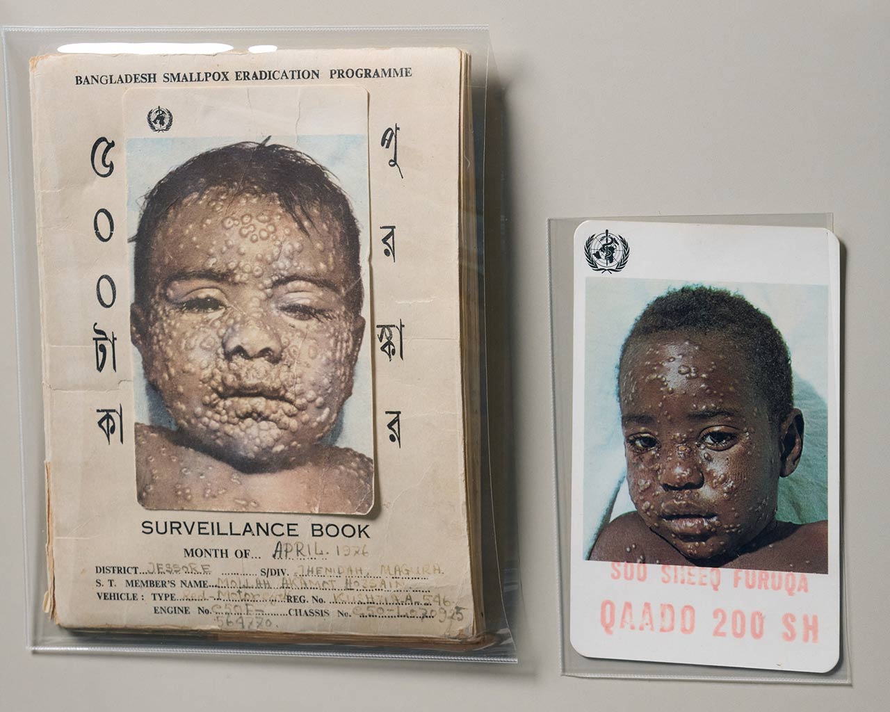 smallpox-surveillance-1280px smallpox surveillance