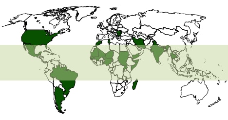 Countries shown in dark green indicate those in which cases of mycetoma have been reported in the medical literature. The mycetoma belt region is shaded in light green.