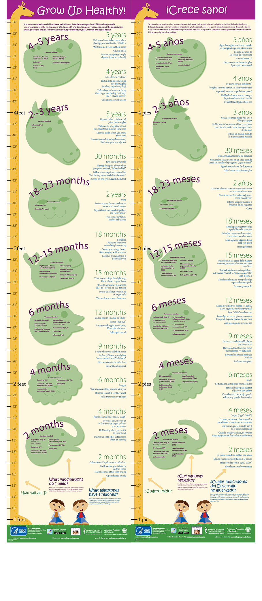 chart-sp-en-186 growth chart Spanish & English