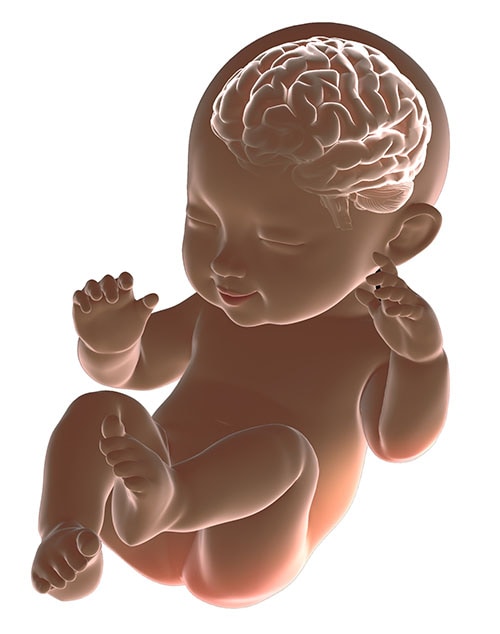 How To Develop Baby Brain In Hindi