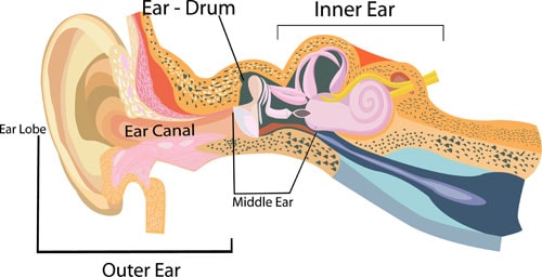 Different Types and Degrees of Hearing Loss | Schmidt’s Optical