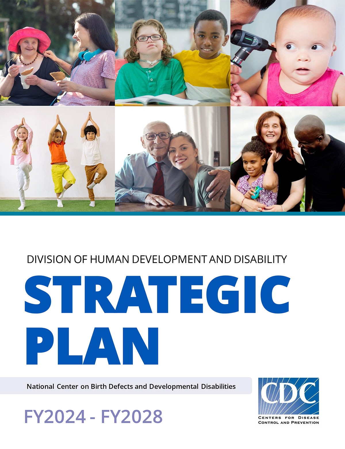 dhdd strategic plan fy2024-2028 thumbnail image