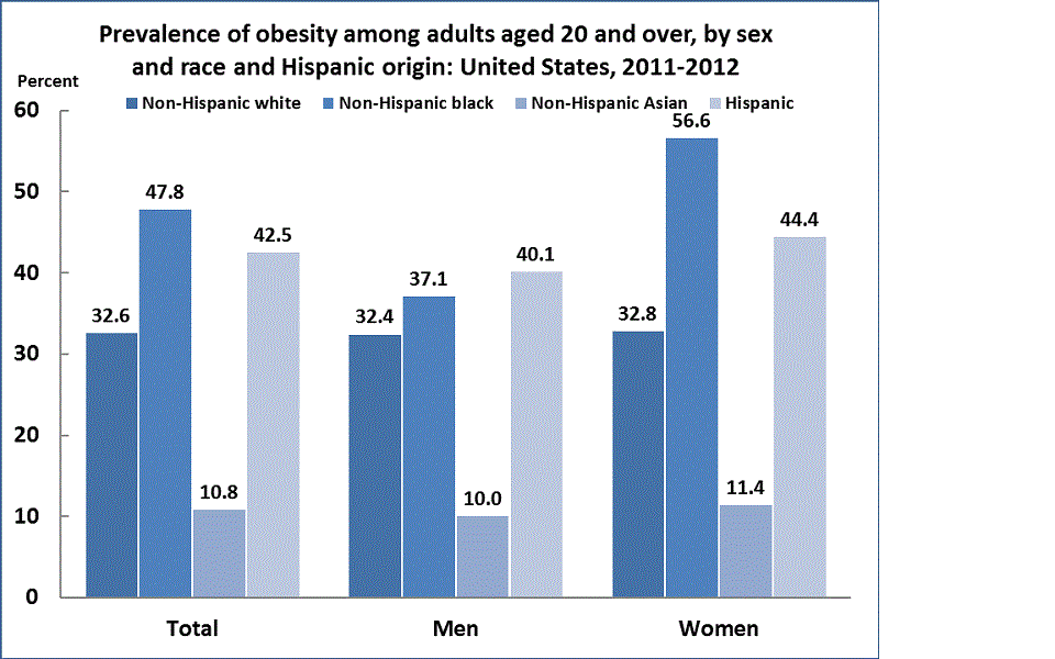 About Nchs Nchs Fact Sheets Nchs Data On Racial And Ethnic Disparities