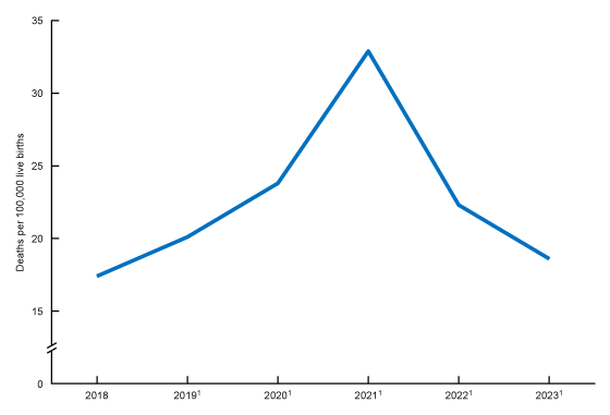 Figure 1 is a line graph of the maternal mortality rate for 2018–2022.