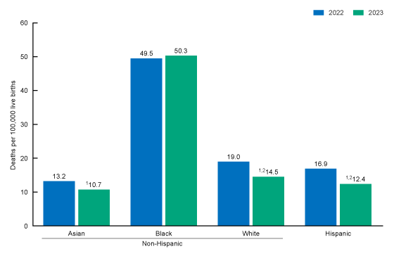 Figure 2 is a bar chart of the maternal mortality rate by race and Hispanic origin in the United States in 2021 and 2022.