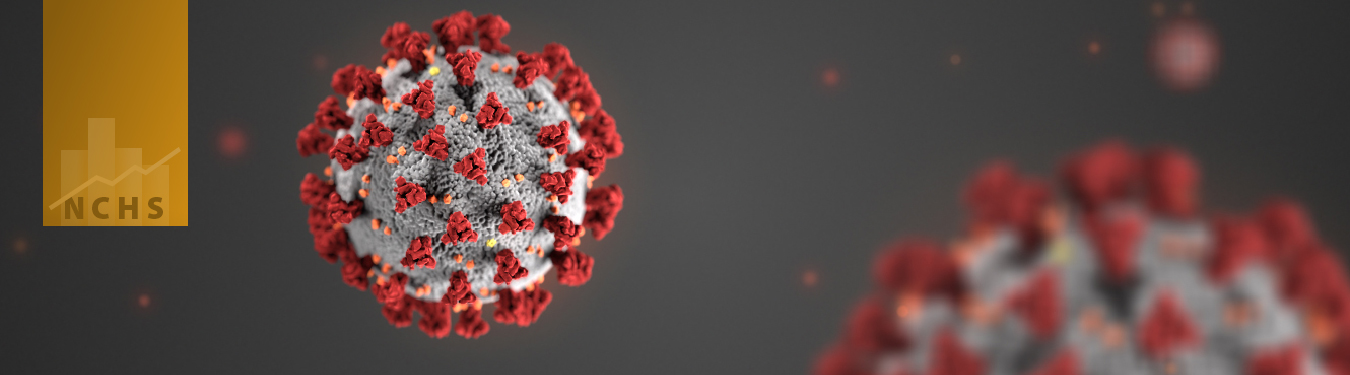 COVID-19 Data from the National Center for Health Statistics COVID-19 Data from the National Center for Health Statistics