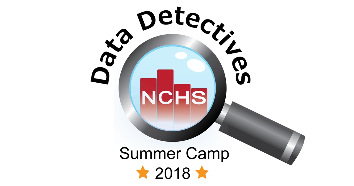 data-detectives-camp-homepage