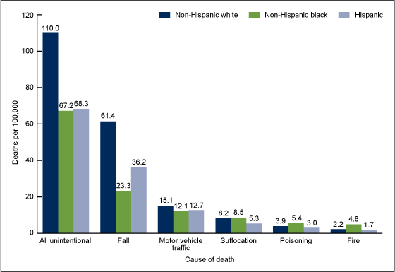 Figure 4 is a bar chart showing age-adjusted death rates by race and ethnicity and cause of death among adults aged 65 and over for combined years 2012 and 2013.