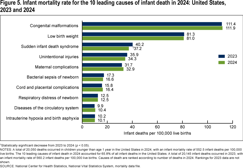 Figure 5 is a bar graph showing the infant mortality rate for the 10 leading causes of infant death in the United States in 2023 and 2024.