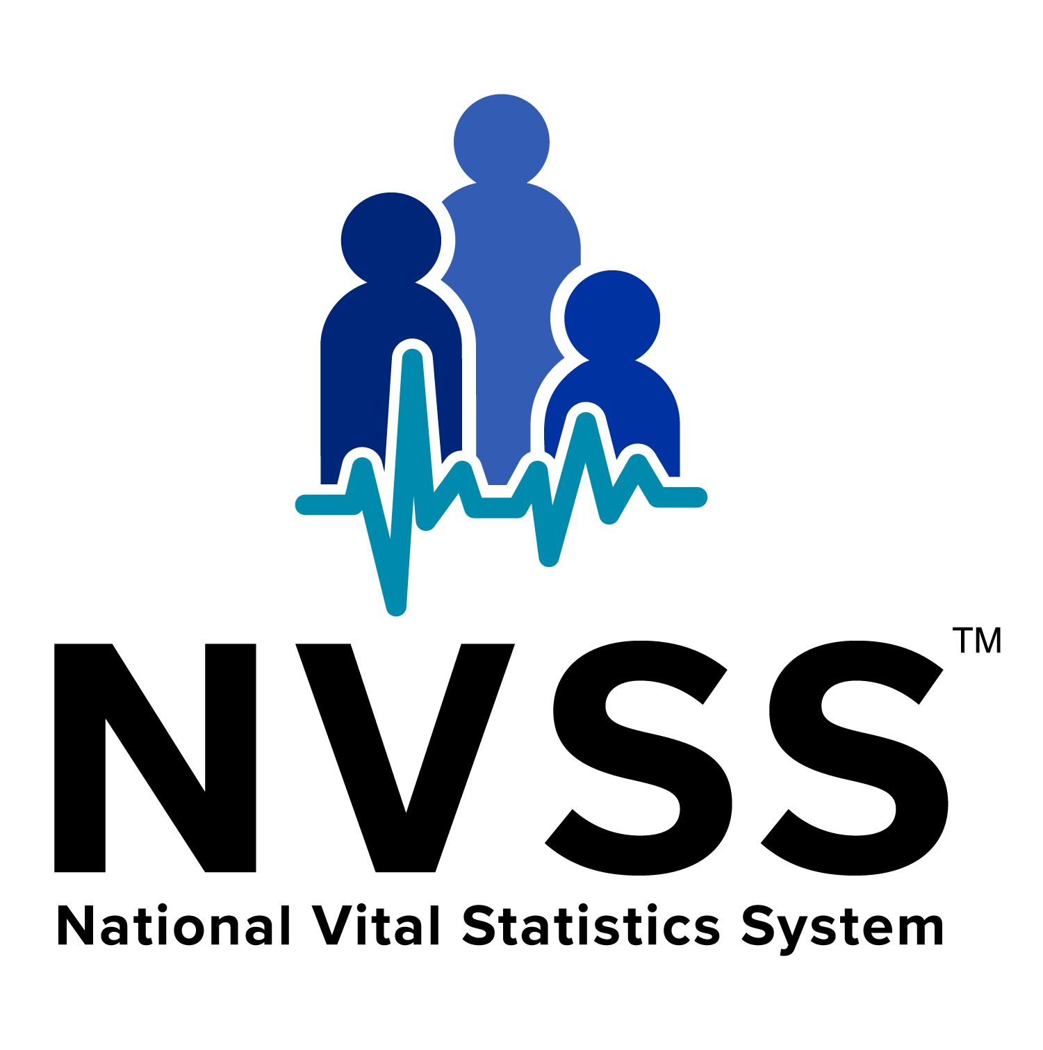 NVSS System Mark