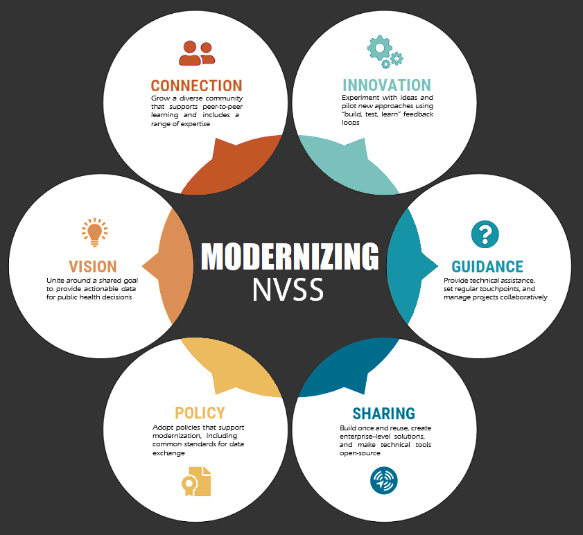 modernization-infographic circles showing guiding principles of Modernizing NVSS