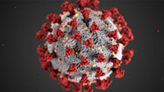 CDC illustration of the virus that causes COVID-19. Shows red spikes on the outside of the gray virus.
