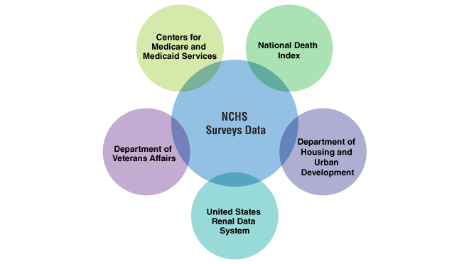 Venn diagram showing the intersections of NCHS surveys and data sources