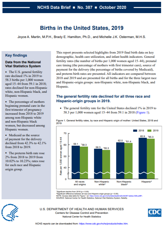 Screen capture of report: Births in the United States, 2019