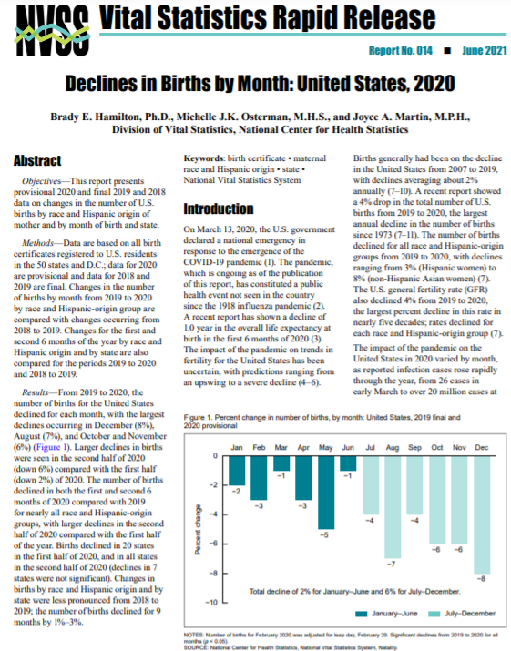Cover of Vital Statistics Rapid Release: Declines in Births by Month in the United States, 2020