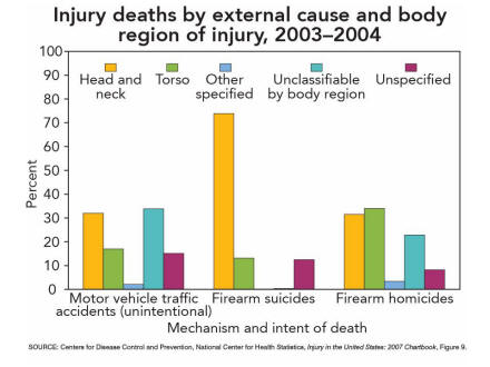 Injury Data and Resources - Injury in the United States 2007 Chartbook