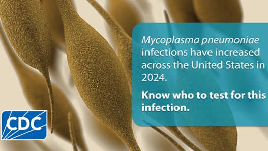 Mycoplasma pneumoniae illustration. Text says "Mycoplasma pneumoniae infections have increased across the United States in 202. Know who to test for this infection."