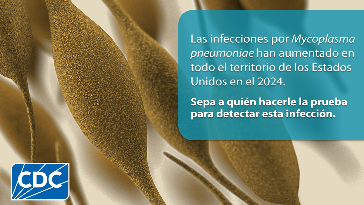 Ilustración de bacteria Mycoplasma pneumoniae. El texto dice: "Las infecciones por Mycoplasma pneunomiae han aumentado en todo el territorio de los Estados Unidos en el 2024. Sepa a quién hacerle la prueba para detectar esta infección."