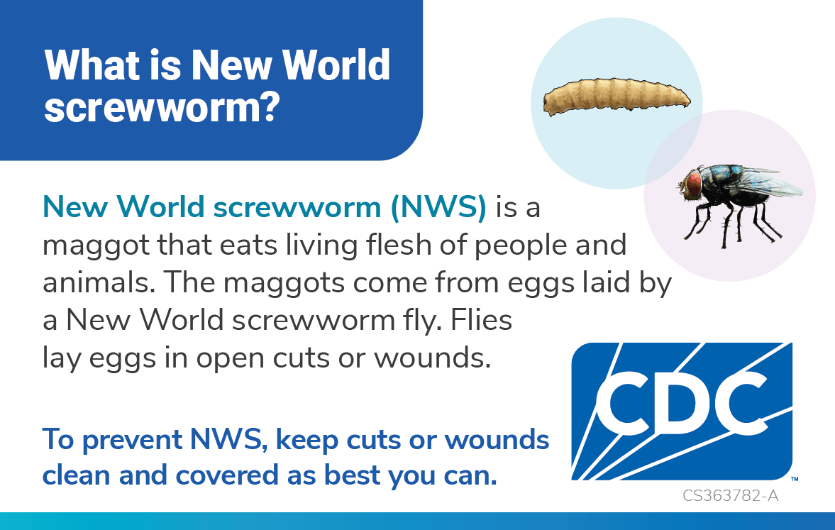 Palm Card: What is New World Screwworm