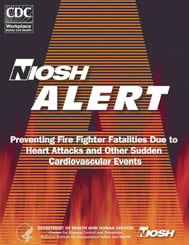 cover.jpg_8463b cover of 2007-133