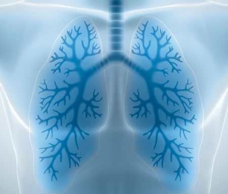 Clean and healthy lungs