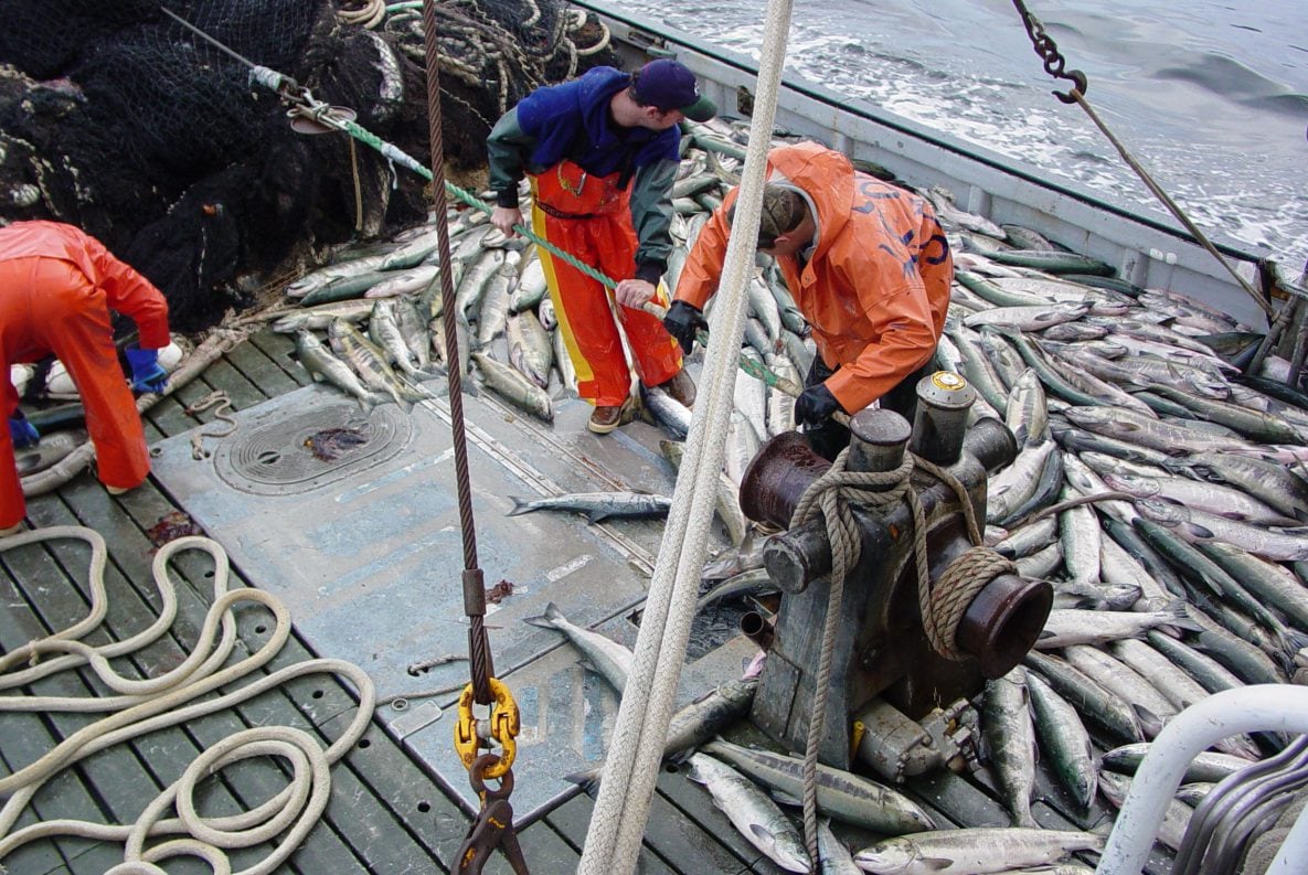 Maritime Industries: Commercial Fishing, NIOSH