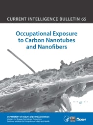Cover of NIOSH Current Intelligence Bulletin 65: Occupational Exposure to Carbon Nanotubes and Nanofibers