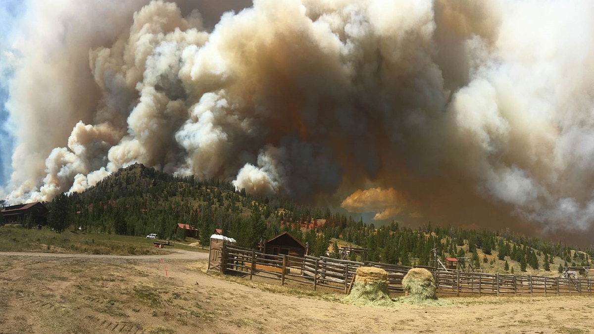 Large plumes of wildfire smoke rise over forested hills with a livestock corral in the foreground.