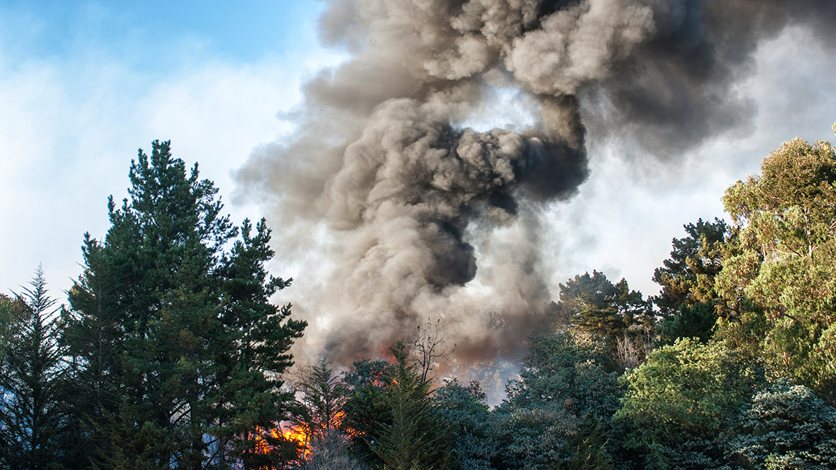 Plume of wildfire smoke