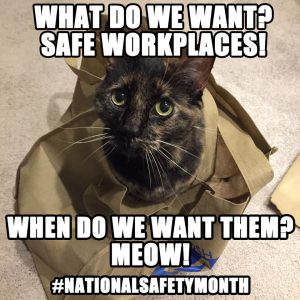Social media image of a cat that says "what do we want? Safe workplaces! When do we want them? Meow! #Nationalsafetymonth