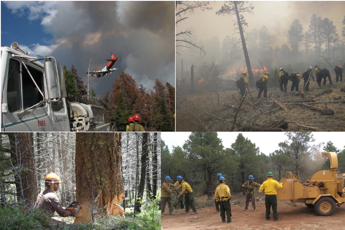 wildland firefighting