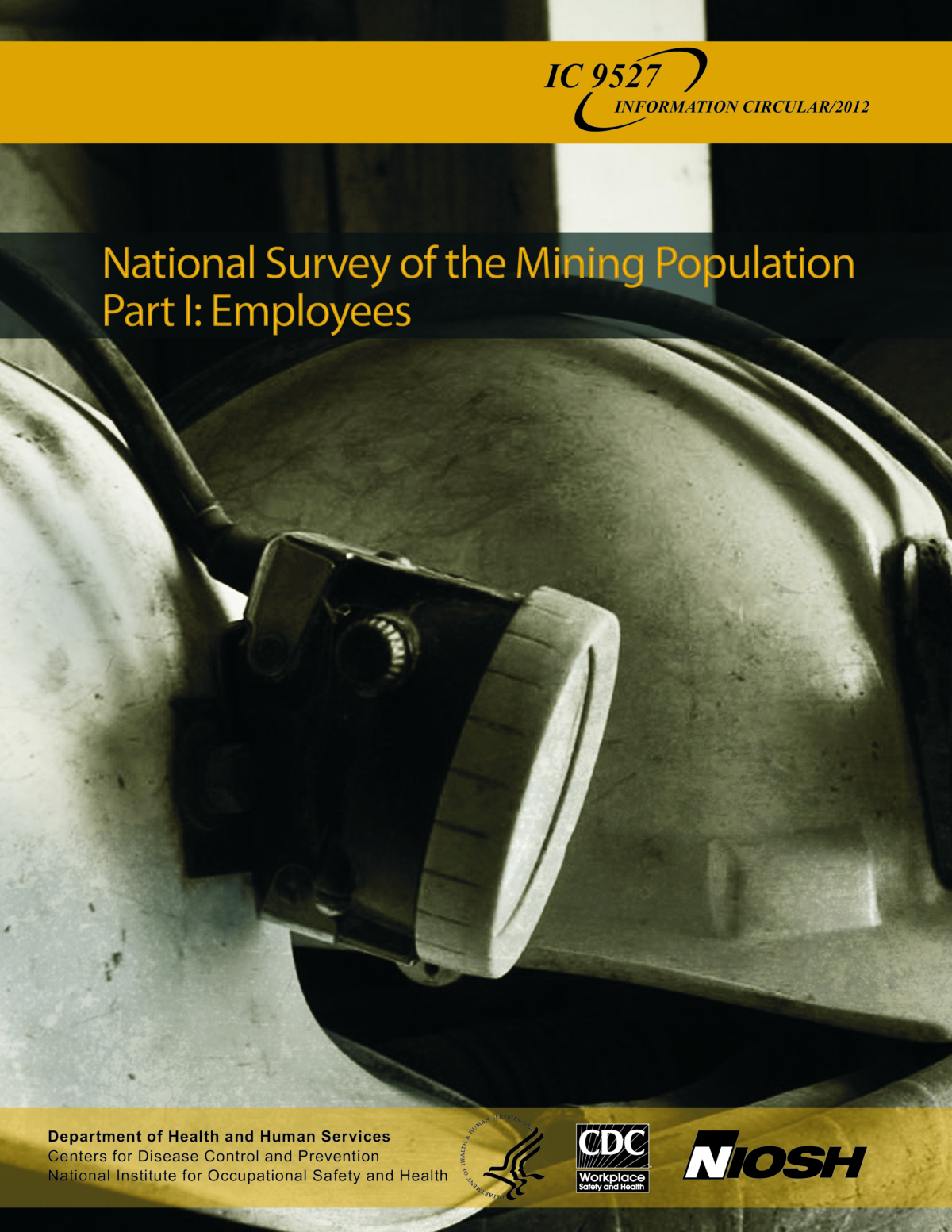 National Survey of the Mining Population: Part I: Employees