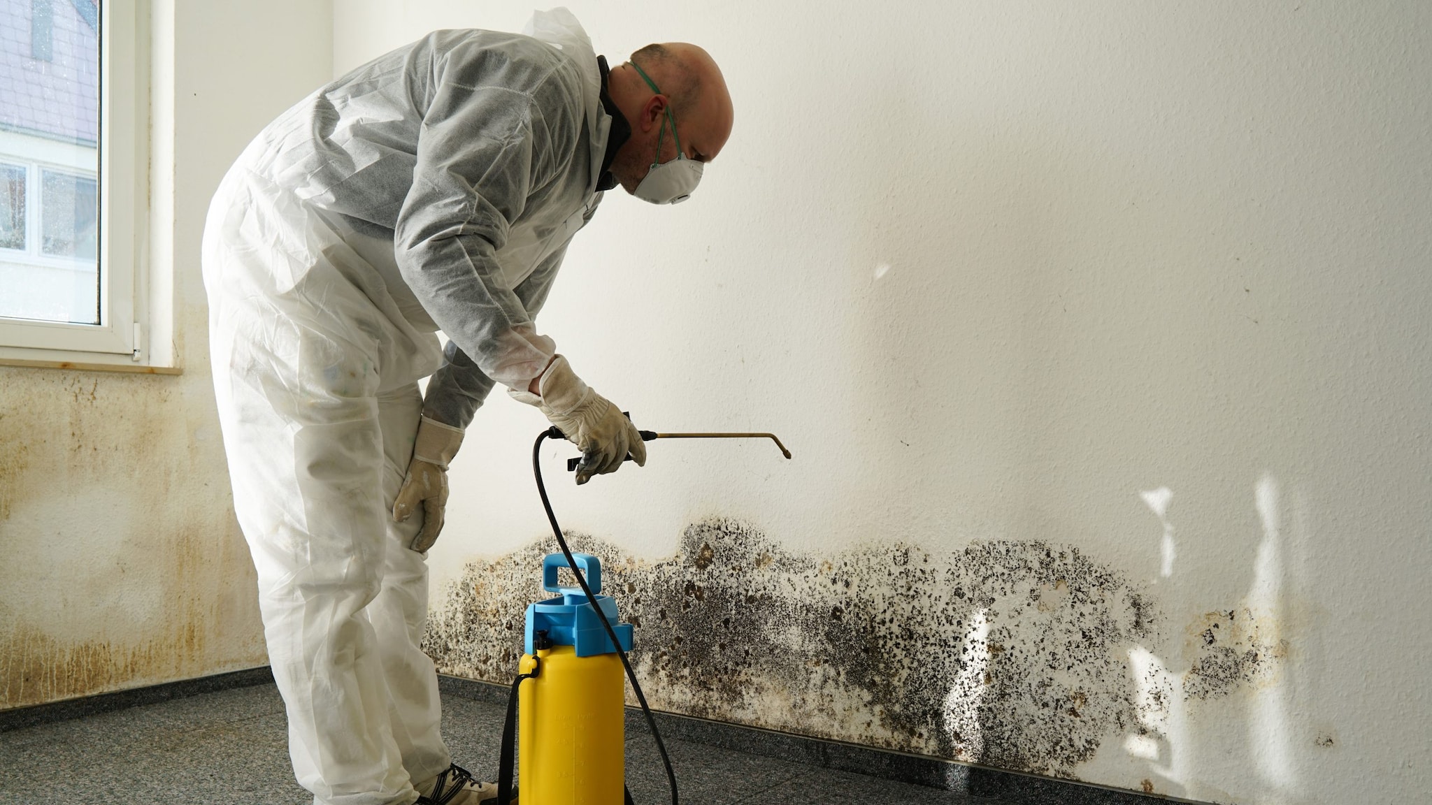 person wearing respirator and protective clothing while spraying mold on a wall
