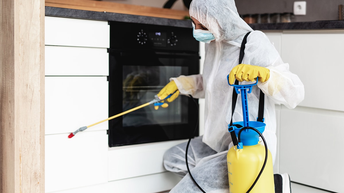 A person wearing PPE sprays pesticide in a kitchen.