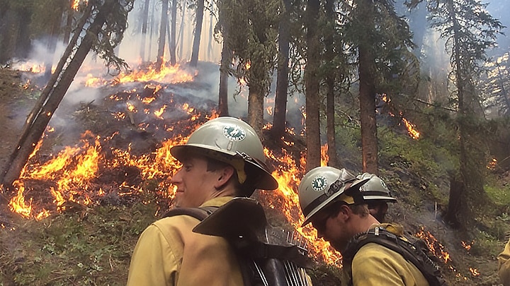 Members of the Wyoming Wildland Firefighter Hotshot Crew monitor a prescribed burn as it makes its way down a hillside.