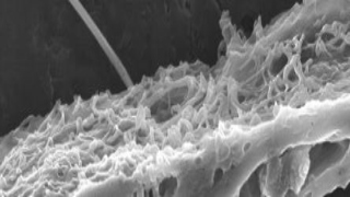 Nanotechnology