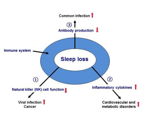 Module 2 Sleep And The Immune System Continued Niosh Cdc