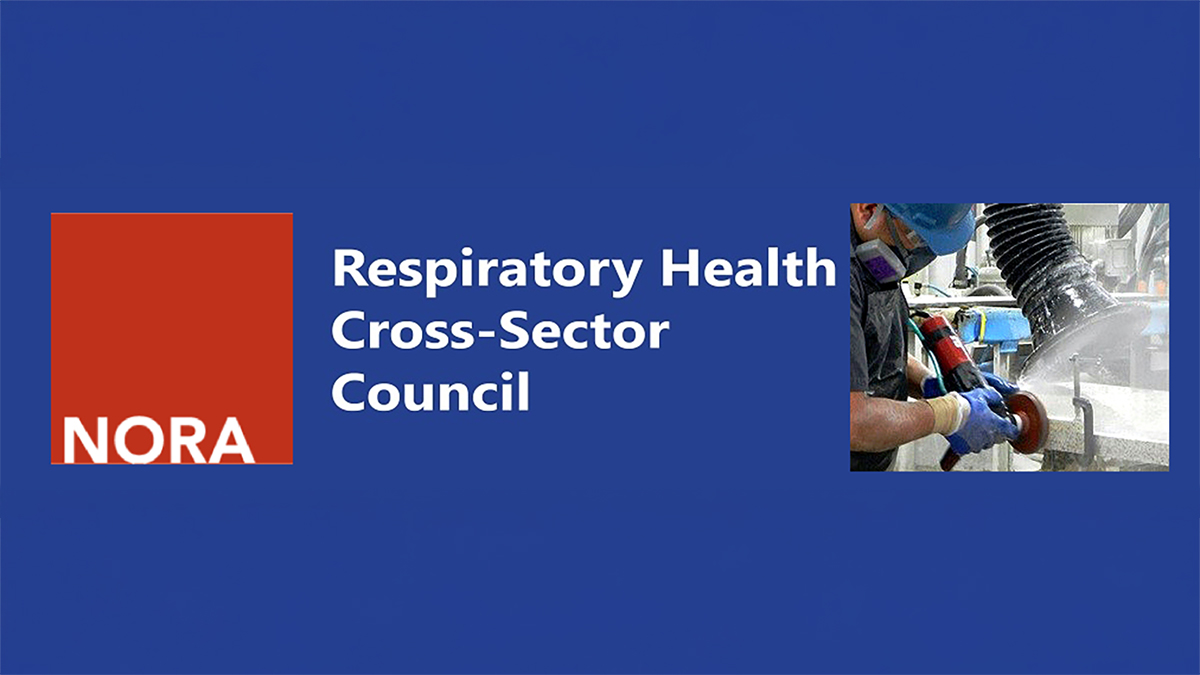 Red square with the word NORA inside blue box with the council name in white writing. Related image at right.