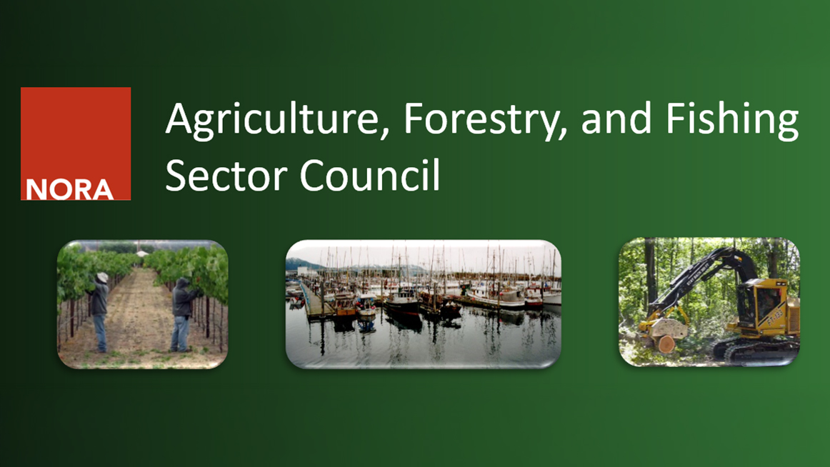 Red square with the word NORA inside green box with the council name in white writing. Related images below.