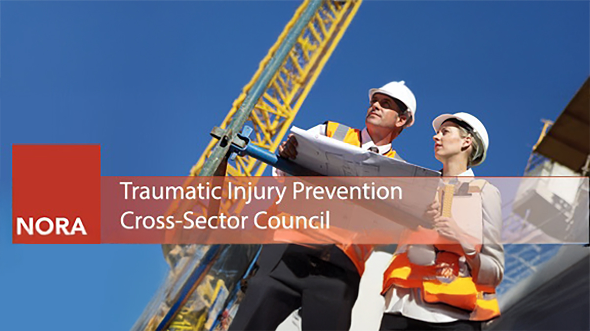 Red square with the word NORA inside box beside the council name in white font over an image of people in hardhats.