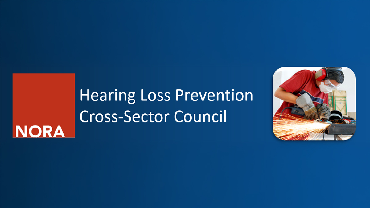 Red square with the word NORA inside blue box with the council name in white writing. Related image at right.